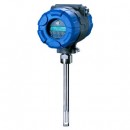 Magnetrol Mass Flow Meter.jpg